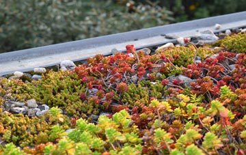 the cost of Threlkeld green roof installation