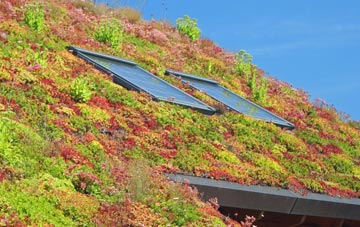 Threlkeld living roof systems