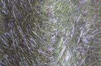 Threlkeld fibreglass roof work